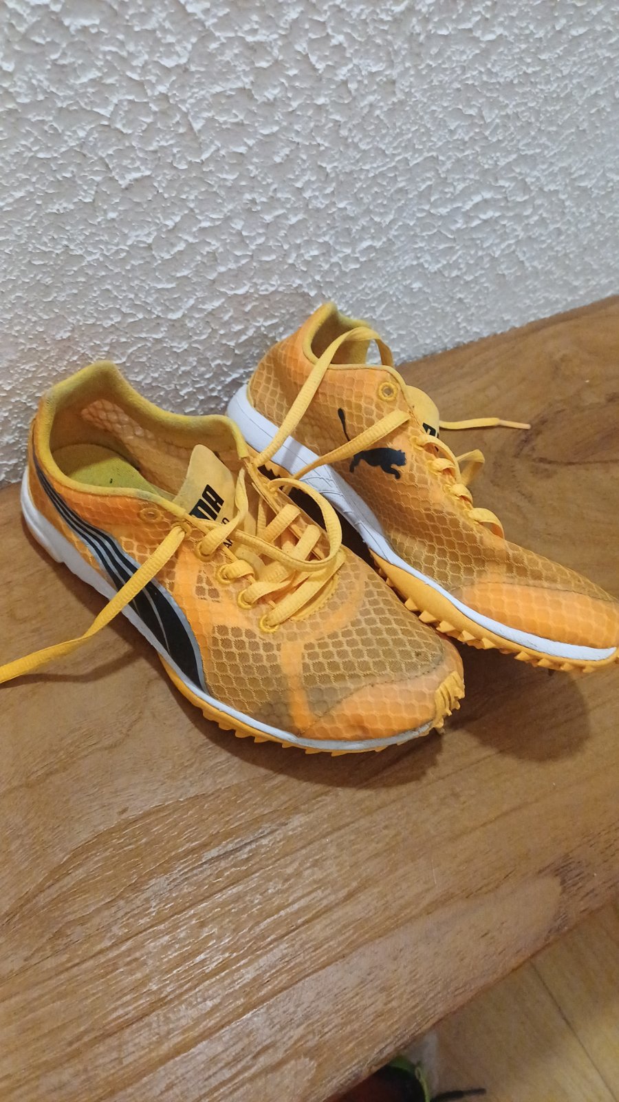 Pointes puma taille 36